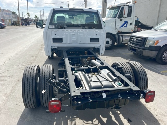 Truck Chassis Ford F-600 XL SD 2023