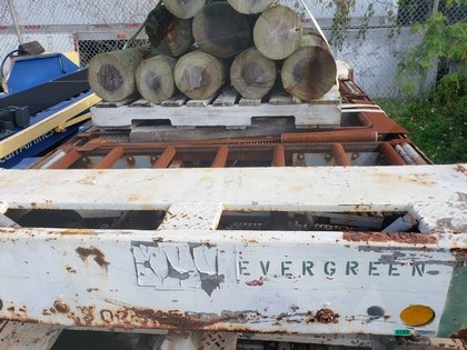 Dollies LD3 Wasp A04012D Roller Deck