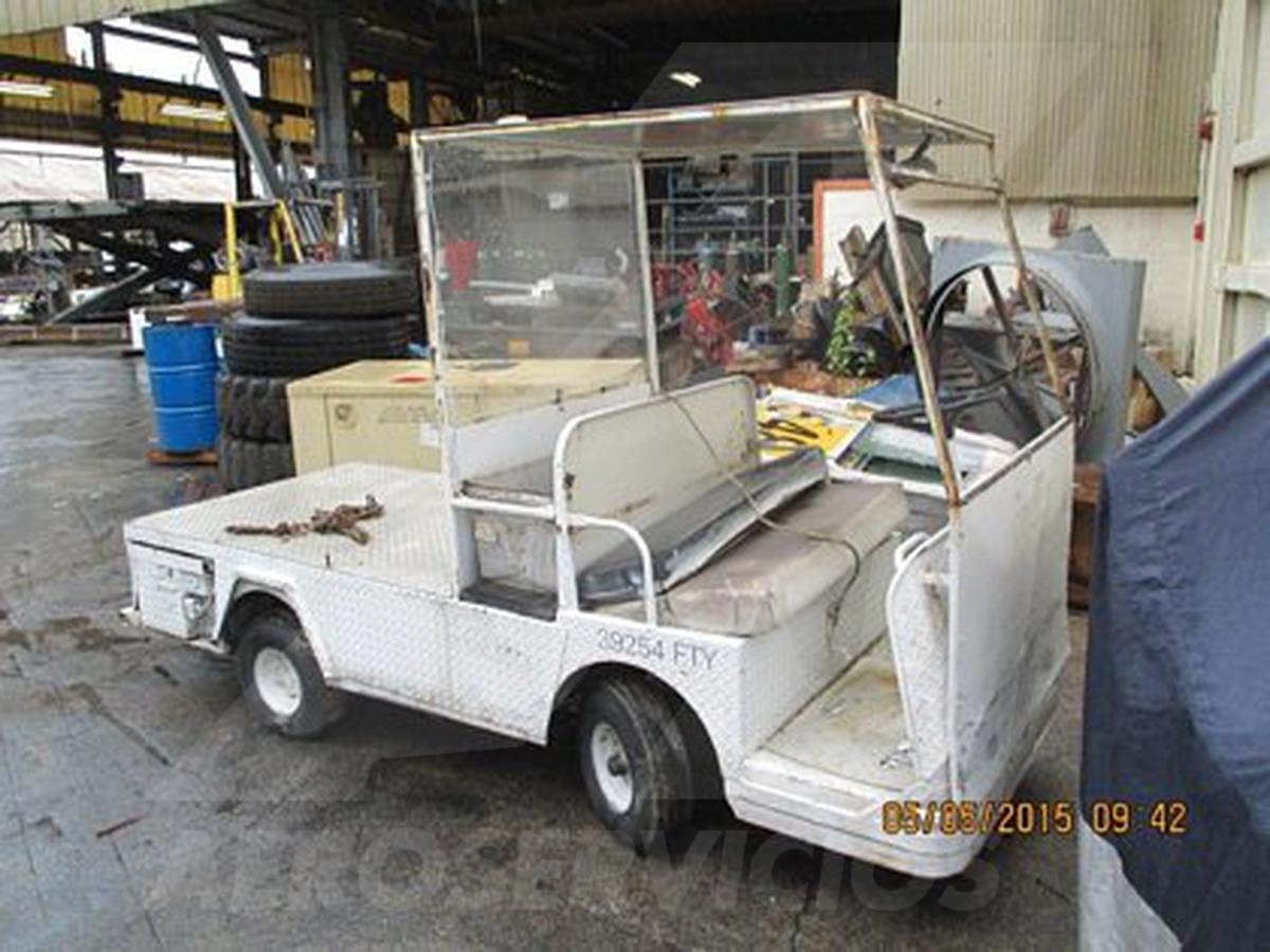 Utility Vehicle Taylor-Dunn B-248