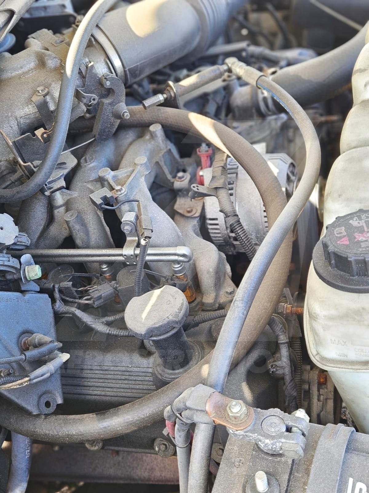 Lavatory Truck Ford/Wollard F-350/TLS-770