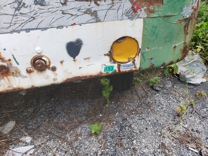 Dollies LD3 Wasp A04012D Roller Deck