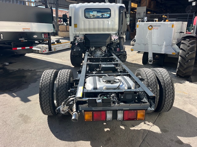 Truck Chassis Isuzu NPR - Gasoline